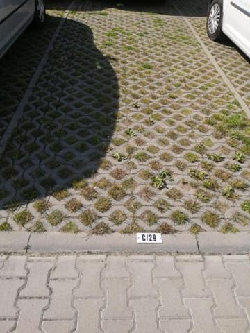 Apartament C29 * Kolberg